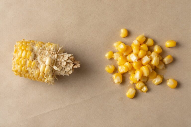 A jagged corn cob fragment sits apart from a small pile of plain corn kernels on oat paper
