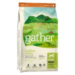 Gather Endless Valley Vegan Recipe for Adult Dogs Dry Dog Food