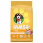 Iams Puppy Dry Dog Food