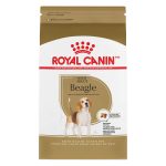 Royal Canin Beagle Adult Dry Dog Food