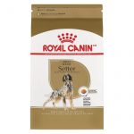 Royal Canin Setter Adult Dry Dog Food