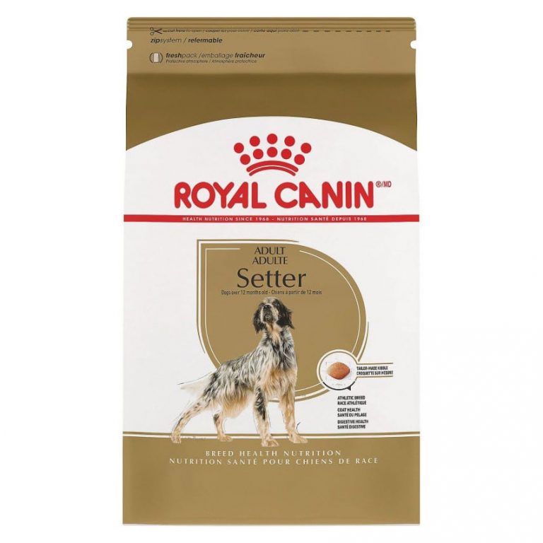 Royal Canin Setter Adult Dry Dog Food