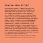 Instinct Raw Boost PeakBoost+ Kibble Real Salmon Recipe Grain-Free Dry Dog Food, photo 7