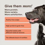 Instinct Raw Boost PeakBoost+ Kibble Real Salmon Recipe Grain-Free Dry Dog Food, photo 4