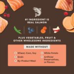 Instinct Raw Boost PeakBoost+ Kibble Real Salmon Recipe Grain-Free Dry Dog Food, photo 6
