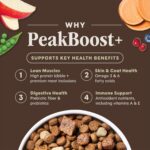 Instinct Raw Boost PeakBoost+ Kibble Real Salmon Recipe Grain-Free Dry Dog Food, photo 2