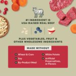 Instinct Raw Boost RawBoost+ Whole Grain Kibble Real Beef & Barley Recipe Dry Dog Food, photo 5