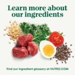 Nutro Natural Choice Large Breed Adult Lamb & Brown Rice Recipe Dry Dog Food, photo 6