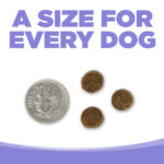 NutriSource Chicken Puppy Dry Dog Food, photo 5