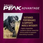 Eukanuba Premium Performance 30/20 Sport Small Bites Dry Dog Food, photo 3