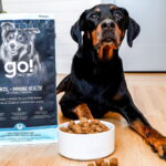 Go! Solutions Dental + Immune Health Chicken + Salmon Dry Dog Food, photo 3