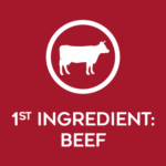 Nature’s Logic Original Pure Naturals Beef Recipe Dry Dog Food, photo 3