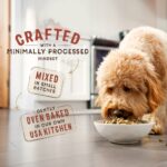 Stella & Chewy’s SuperBlends Chicken & Duck : Raw Coated/Raw Blend Oven Baked Kibble with Superfoods, Antioxidants & Probiotics Dry Dog Food, photo 4