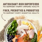 Stella & Chewy’s SuperBlends Chicken & Duck : Raw Coated/Raw Blend Oven Baked Kibble with Superfoods, Antioxidants & Probiotics Dry Dog Food, photo 10