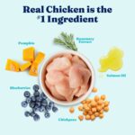 Solid Gold Mighty Mini Toy & Small Breed Chicken, Chickpea & Pumpkin Recipe Grain-Free Dry Dog Food, photo 4