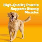Pedigree Adult, Roasted Lamb & Vegetable Dry Dog Food, photo 3