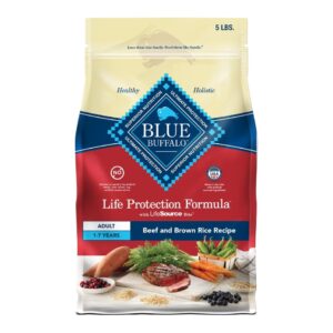 Blue Life Protection Formula Beef Recipe Dry Dog Food
