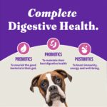 Halo Holistic Healthy Weight Support Grain Free Cage-Free Turkey & Sweet Po Dry Dog Food, photo 8