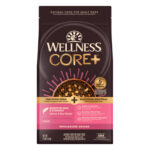 Wellness CORE+ Wholesome Grains Sensitive Skin Stomach Salmon & Rice Dry Dog Food