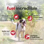 Nulo FreeStyle Senior Trout & Sweet Potato Recipe Grain-Free Dry Dog Food, photo 6