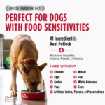 Nulo FreeStyle Limited+ Alaska Pollock & Lentils Recipe Grain-Free Dry Dog Food, photo 4