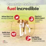 Nulo FreeStyle Puppy Salmon & Peas Recipe Grain-Free Dry Dog Food, photo 5