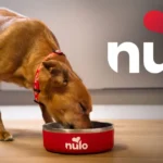 Nulo Gently-Cooked Meals Salmon & Brown Rice Recipe Frozen Dog Food, photo 7