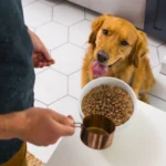 Nulo MedalSeries Large Breed Baked & Coated Whitefish, Chicken & Turkey Recipe Grain-Free Dry Dog Food, photo 4