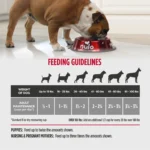 Nulo MedalSeries Limited Ingredient Diet Salmon Recipe Grain-Free Dry Dog Food, photo 7