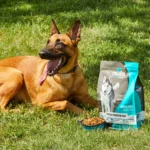 Nulo MedalSeries Limited Ingredient Diet Salmon Recipe Grain-Free Dry Dog Food, photo 4