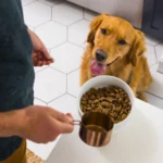 Nulo MedalSeries Large Breed Turkey & Peas Recipe Grain-Free Dry Dog Food, photo 4