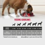 Nulo MedalSeries Lamb & Lentils Recipe Grain-Free Dry Dog Food, photo 4