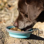 Nulo Raw Medley Large Breed Beef & Sweet Potato Recipe Dry Dog Food, photo 5