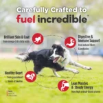 Nulo FreeStyle Turkey & Sweet Potato Recipe Grain-Free Dry Dog Food, photo 5