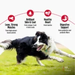 Nulo FreeStyle Limited+ Small Breed Turkey Recipe Grain-Free Dry Dog Food, photo 5