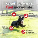 Nulo FreeStyle Small Breed Beef & Sweet Potato Recipe Grain-Free Dry Dog Food, photo 3