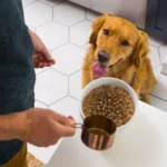 Nulo MedalSeries Baked & Coated Salmon, Chicken & Turkey Recipe Grain-Free Dry Dog Food, photo 5