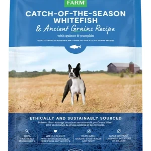 Open Farm Catch of the Season: Whitefish Ancient Grains Dry Dog Food