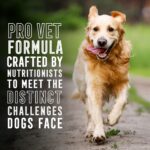 Abound Pro Vet Formulated Adult Large Breed Chicken & Brown Rice Dry Dog Food, photo 5
