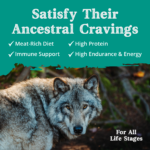 Health Extension Ancestry Homeland With Lamb Meal Grain-Free Dry Dog Food, photo 6