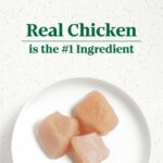 Nutro Chicken Entreé topped with Bites of Real Chicken & Spinach Grain-Free Wet Dog Food, photo 2