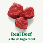 Nutro Tender Beef Recipe Grain-Free Wet Dog Food, photo 2