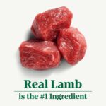 Nutro Savory Lamb, Carrot And Pea Recipe Grain-Free Wet Dog Food, photo 2