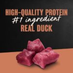 Cesar Classic Loaf in Sauce Duck Grain-Free Wet Dog Food, photo 3