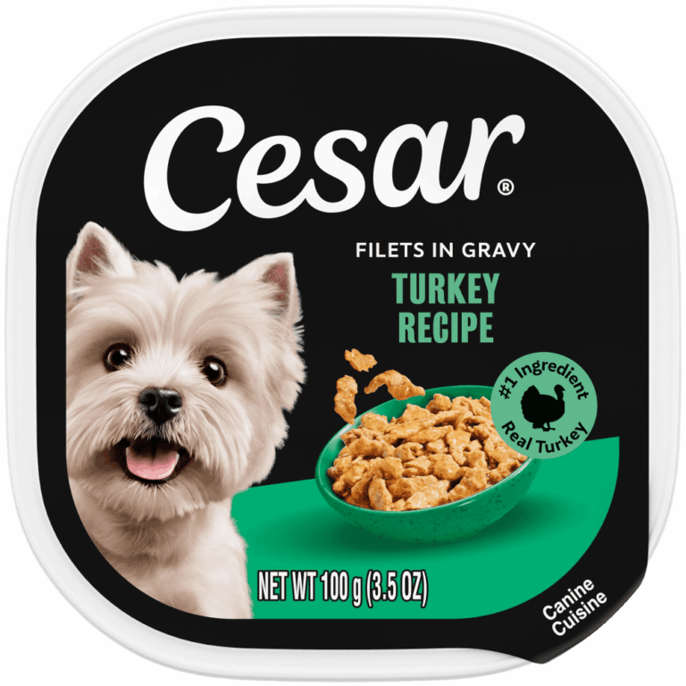 Cesar Filets in Gravy Turkey Filets Wet Dog Food
