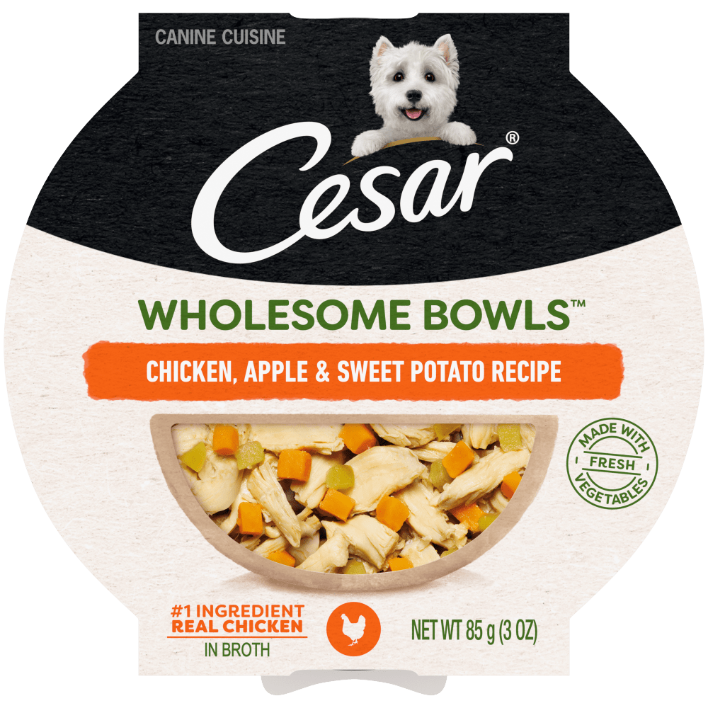 Cesar Wholesome Bowls Chicken, Apple & Sweet Potato Wet Dog Food
