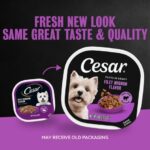 Cesar Filets in Gravy Filet Mignon Wet Dog Food, photo 5