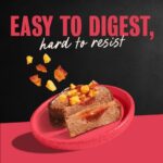Cesar Loaf & Topper in Sauce Angus Beef with Bacon & Cheese Wet Dog Food, photo 4