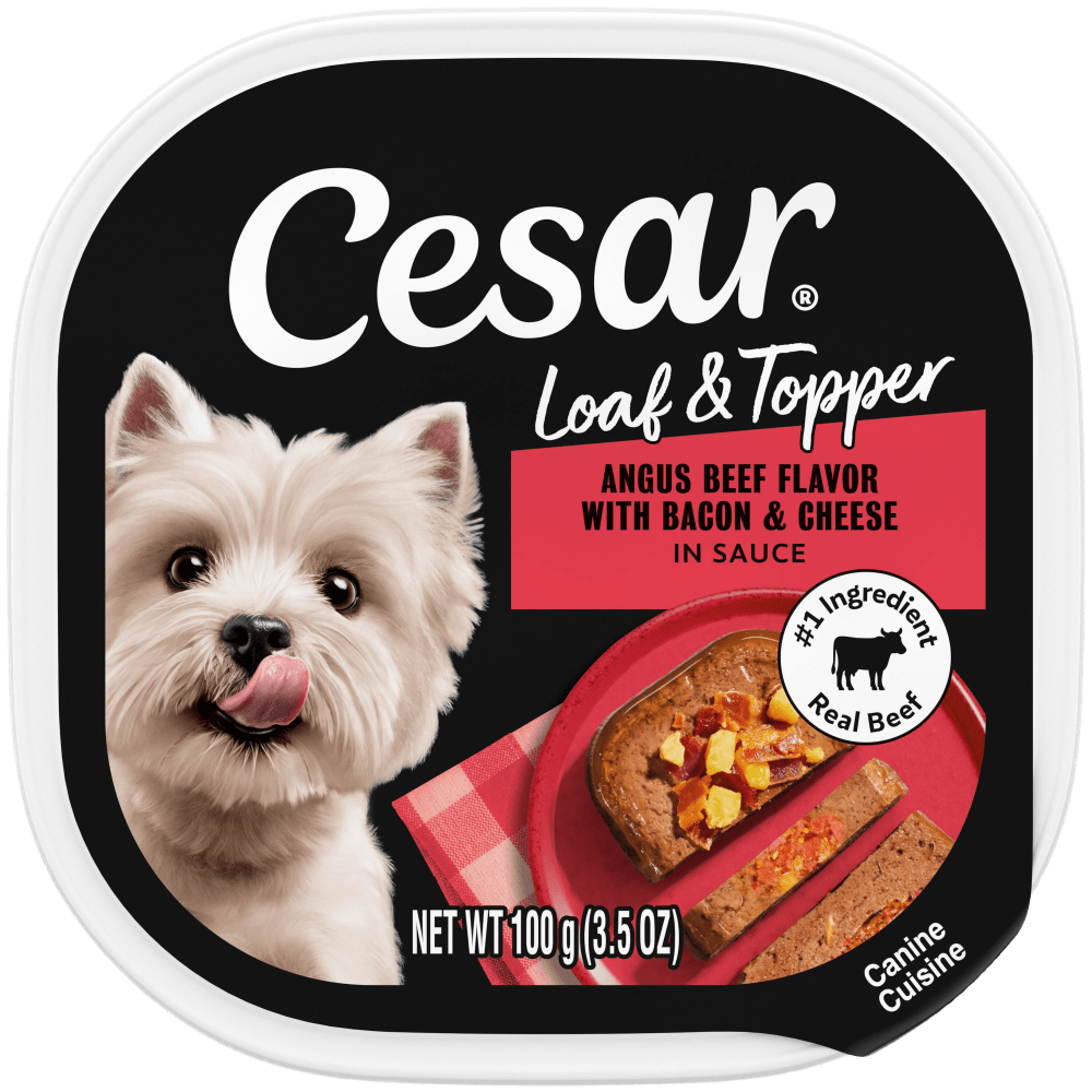 Cesar Loaf & Topper in Sauce Angus Beef with Bacon & Cheese Wet Dog Food