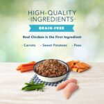 Blue Freedom Grain Free Chicken Recipe Wet Dog Food, photo 2
